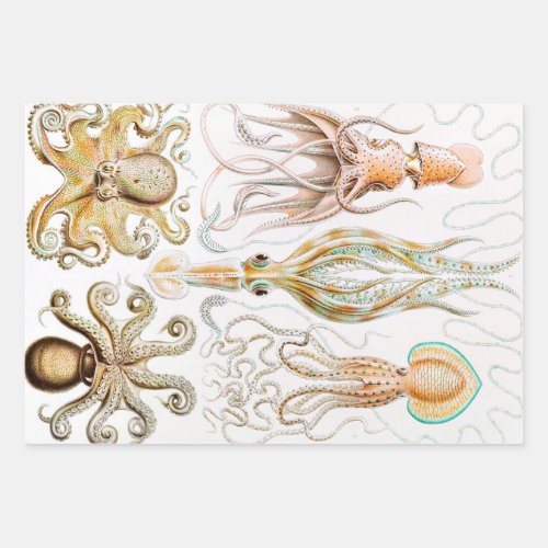 Octopus Squid Gamochonia by Ernst Haeckel Wrapping Paper Sheets