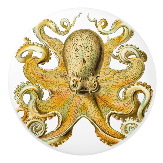 Octopus Squid Gold Ceramic Knob (Front)