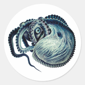 Octopus Squid Nautilus Argonaut Classic Round Sticker
