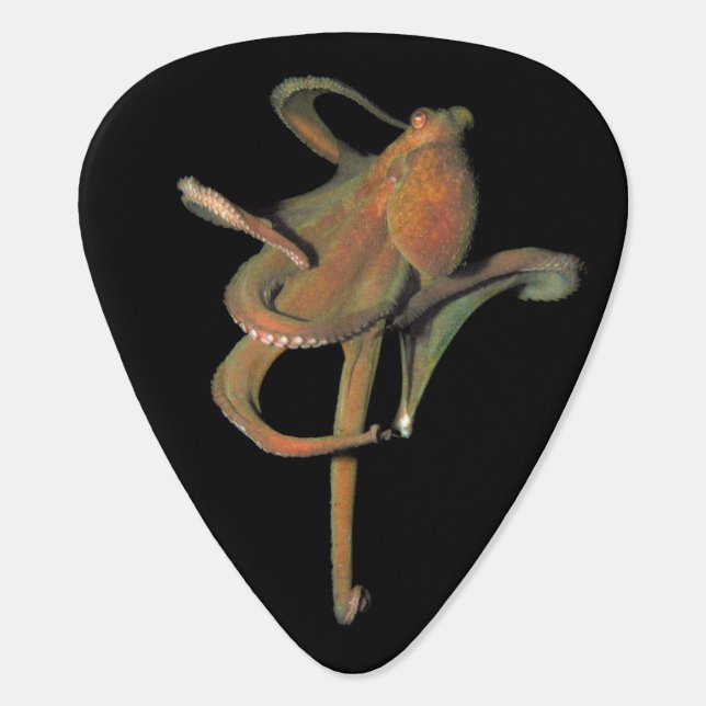 Octopus Standard Guitar Pick (Back)