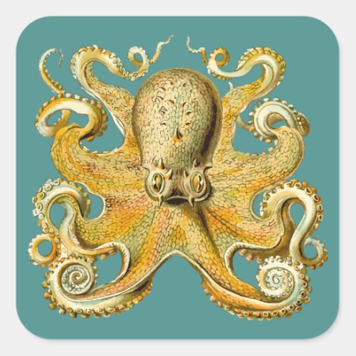 octopus stickers