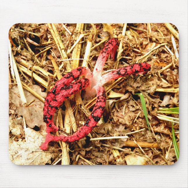 Octopus Stinkhorn Mouse Mat (Front)