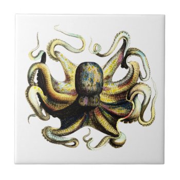 Octopus Tile by OblivionHead at Zazzle