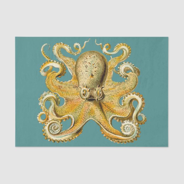 octopus tissue paper (Front)