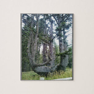 Octopus Tree, Cape Meares, Oregon Jigsaw Puzzle