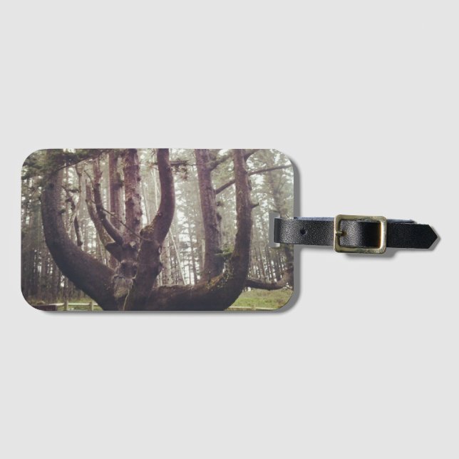 Octopus Tree, Cape Meares, Oregon Luggage Tag (Front Horizontal)