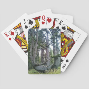 Octopus Tree, Cape Meares, Oregon Poker Cards