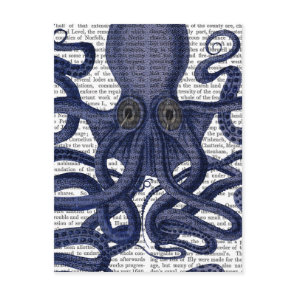 Octopus Up-Close Postcard