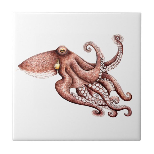 Octopus vulgaris tile (Front)