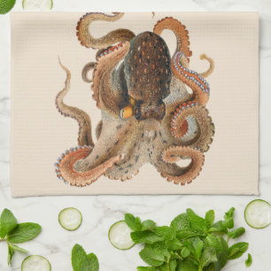 Octopus Vulgaris, Vintage Marine Life Animals Kitchen Towel