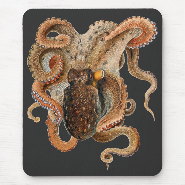 Octopus Vulgaris, Vintage Marine Life Animals Mouse Pad (Front)