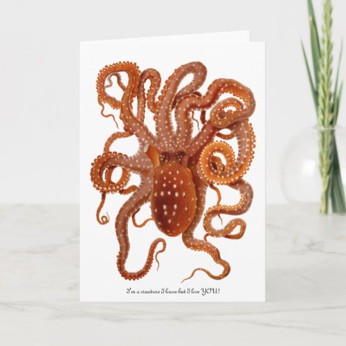 Octopus with fun message for Valentines Day Holiday Card