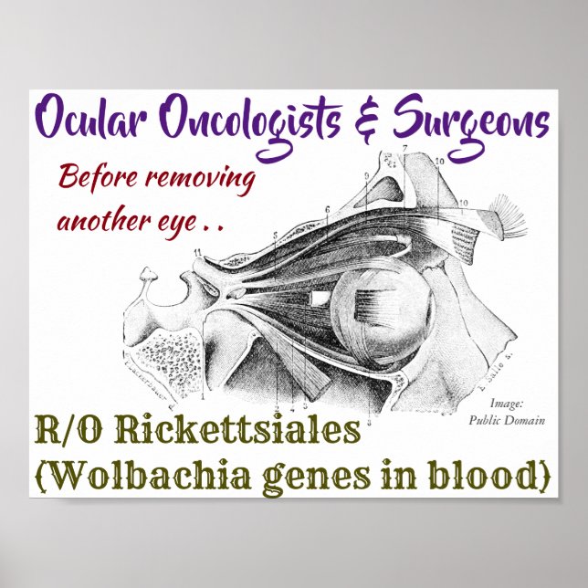 Ocular Oncologists/Surgeons R/O Wolbachia by Rose Poster (Front)