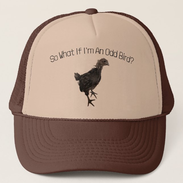Odd Bird Hat (Front)
