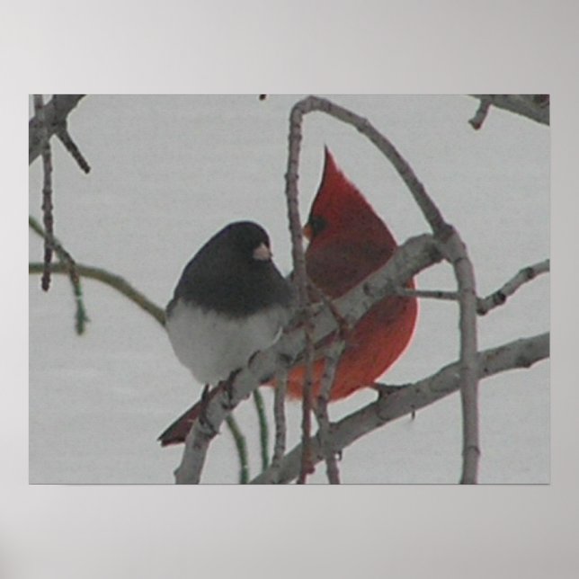 Odd Birds Poster (Front)