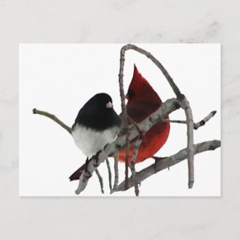 Odd Couple - Birds in the Bush
