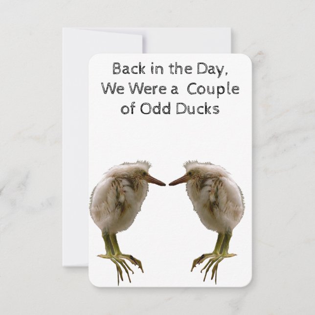Odd Ducks Note Card (Front)