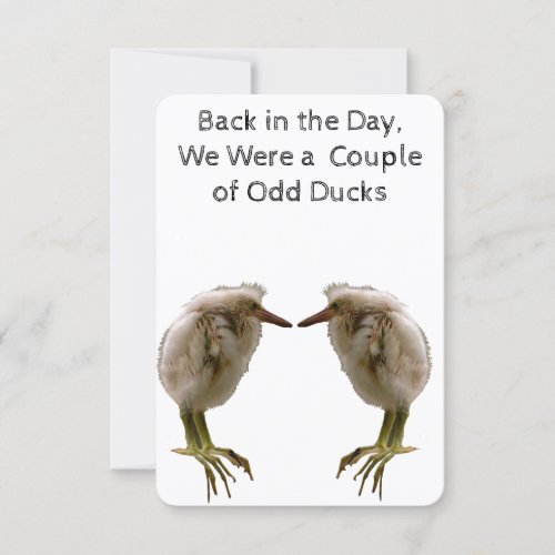 Odd Ducks Note Card