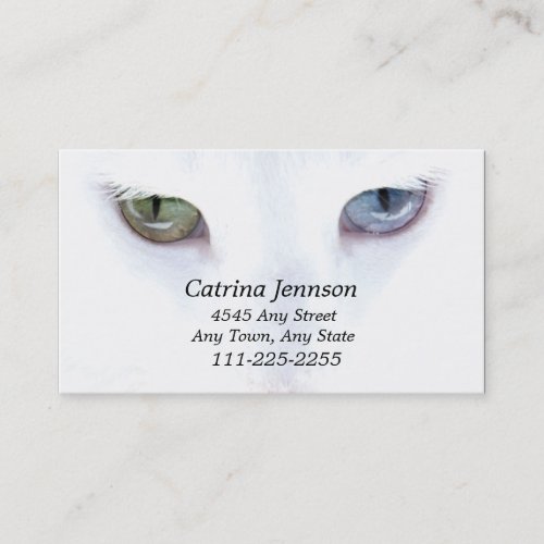 Odd eyed Cat  Business Card