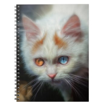 Odd-eyed Persian Kitten Notebook by BonniePhantasm at Zazzle