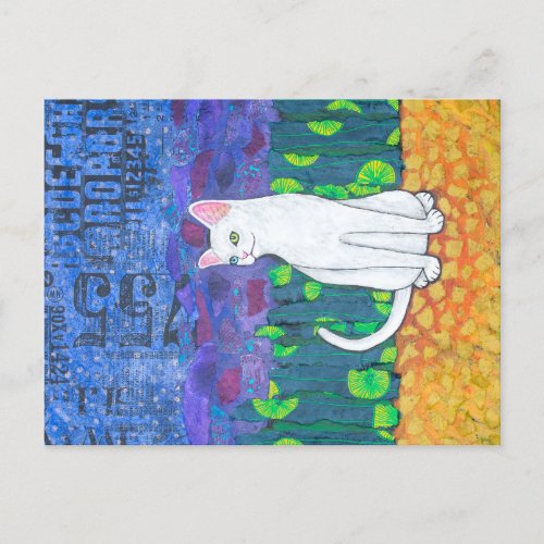 Odd Eyed White Cat Postcard