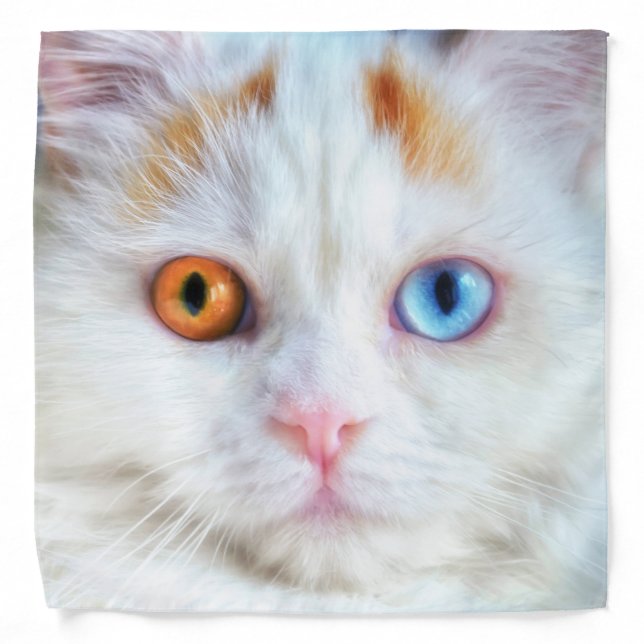 Odd-Eyed White Persian Cat Bandana (Front)