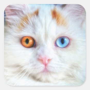 Odd-eyed White Persian Cat Square Sticker by BonniePhantasm at Zazzle