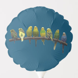 Odd One Out Balloon (Turquoise)