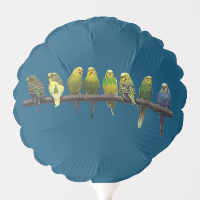 Odd One Out Balloon (Turquoise) (Front)