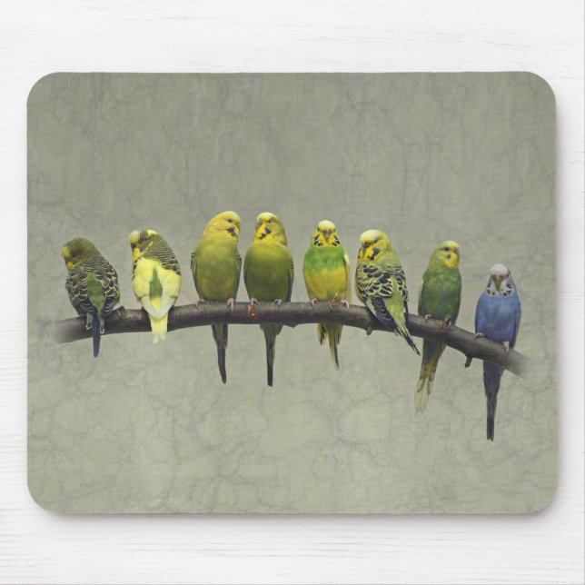 Odd One Out Mousemat Mouse Pad (Front)