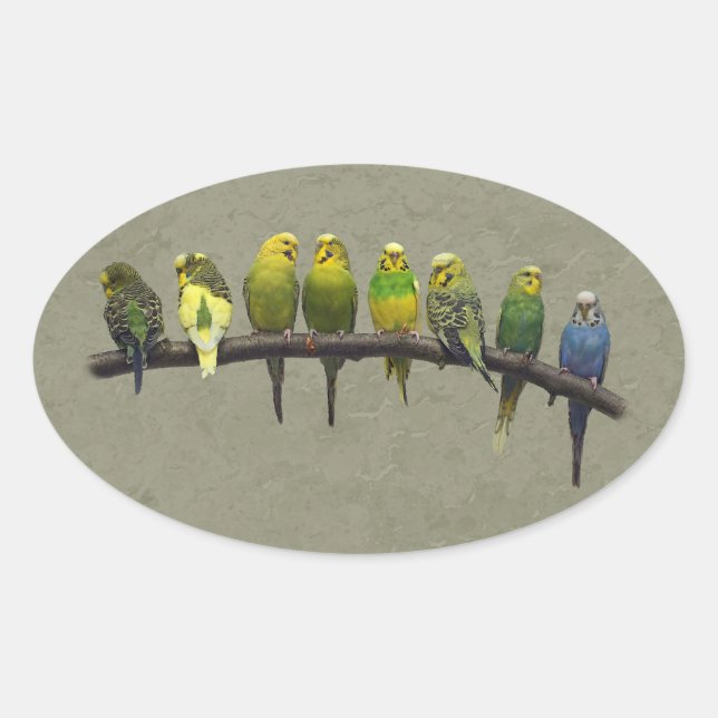 Odd One Out Sticker (Front)