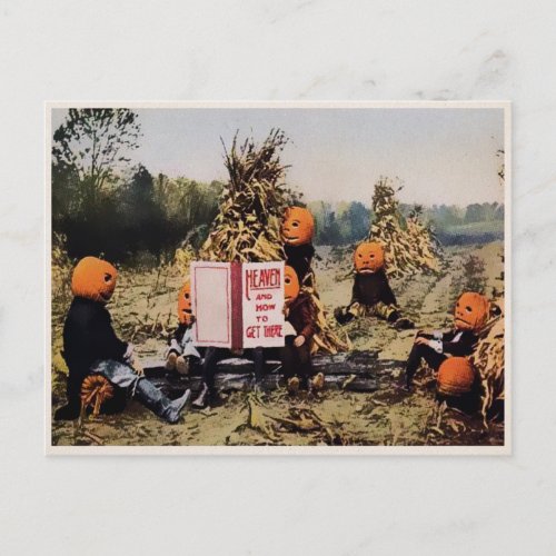 Odd Pumpkin Postcard