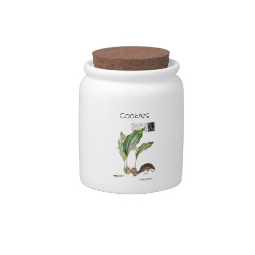 Odd Shellfish Jar White Ceramic Storage with Lid Candy Jar