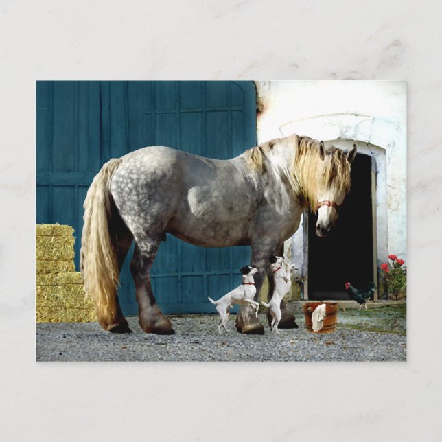 "Odin & The Twins" Postcard (Front)