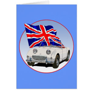 OEW Bugeye Cards