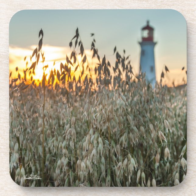 of a headlight in fields beverage coaster (Front)