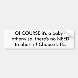 Of COURSE it's a baby - otherwise, there's no N... Bumper Sticker