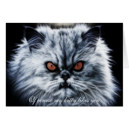 "Of course my kitty likes you...." Cards (Front Horizontal)