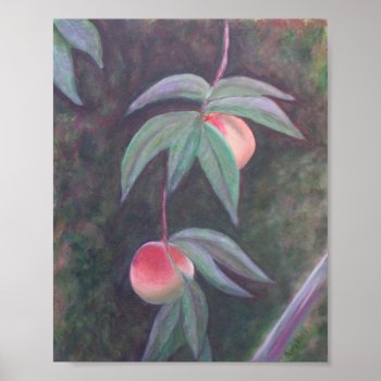Of Florida Peaches Poster by Pattyshop at Zazzle