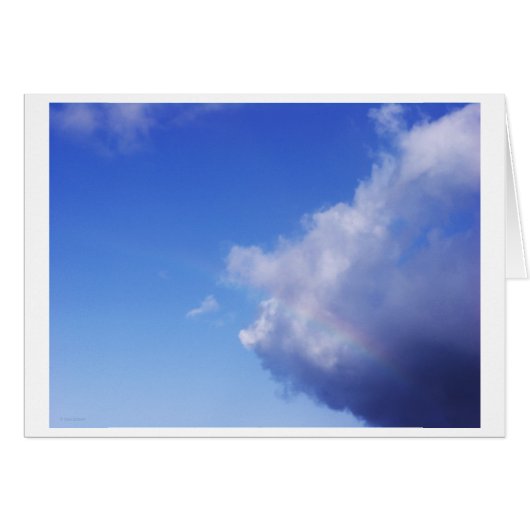 of pigs & rainbows (Front Horizontal)