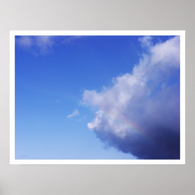 of pigs & rainbows poster (Front)