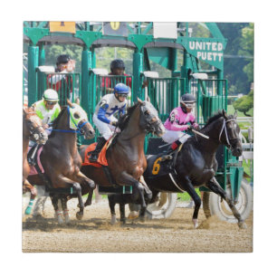 Off at Saratoga Ceramic Tile