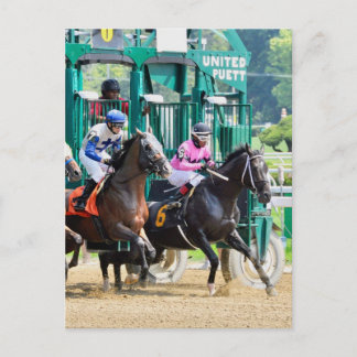 Off at Saratoga Postcard