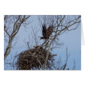 Off For More (Front Horizontal)