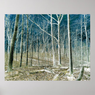 Off the Path version 1 Poster