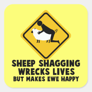 Offensive funny sheep square sticker