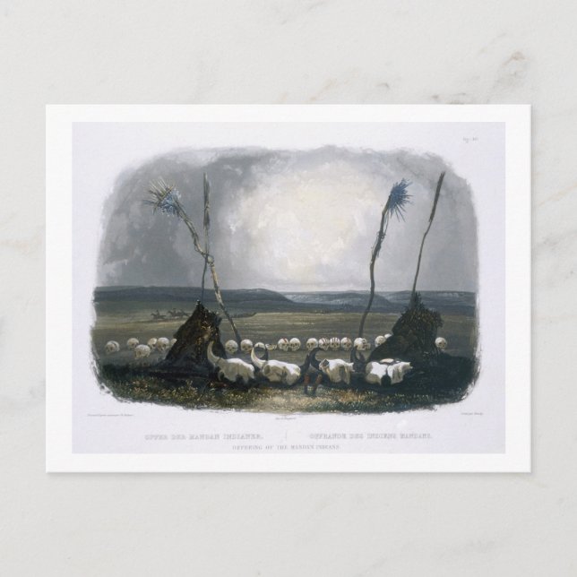 Offering of the Mandan Indians, plate 14 from Volu Postcard (Front)