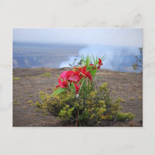 Offering to Pele Hawaiian Volcano Goddess Postcard