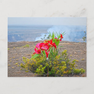 Offering to Pele, Hawaiian Volcano Goddess Postcard