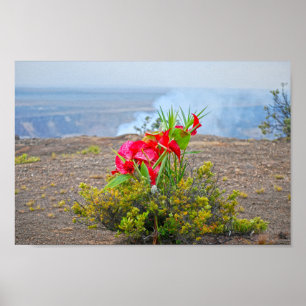 Offering to Pele, Hawaiian Volcano Goddess Poster